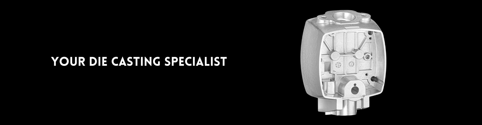 Die Casting Specialist