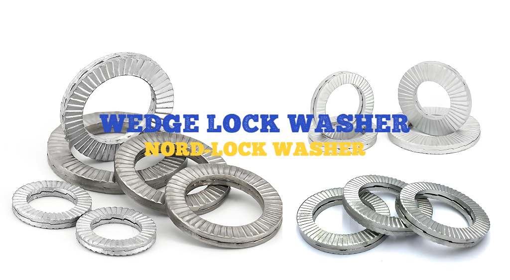 Wedge Lock Washer Use, Dimensions, Types, Torque, Standard, Price, Installation | Nord-Lock Washer Explained